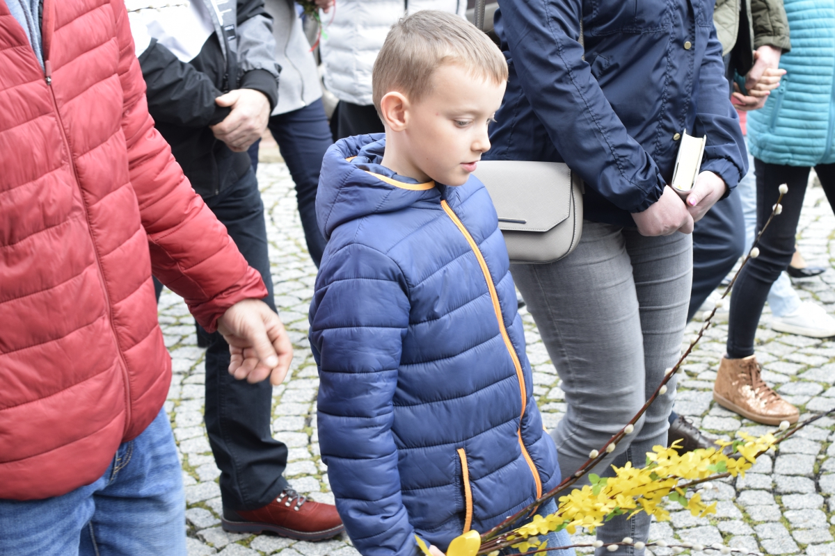 Niedziela Palmowa 2019_12