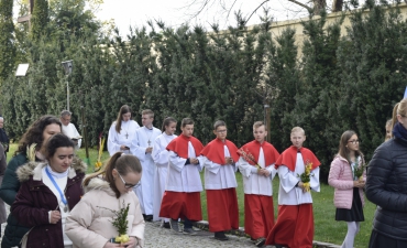 Niedziela Palmowa 2019_7